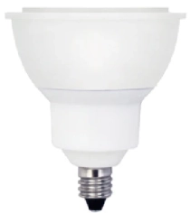 麗光科技股份有限公司